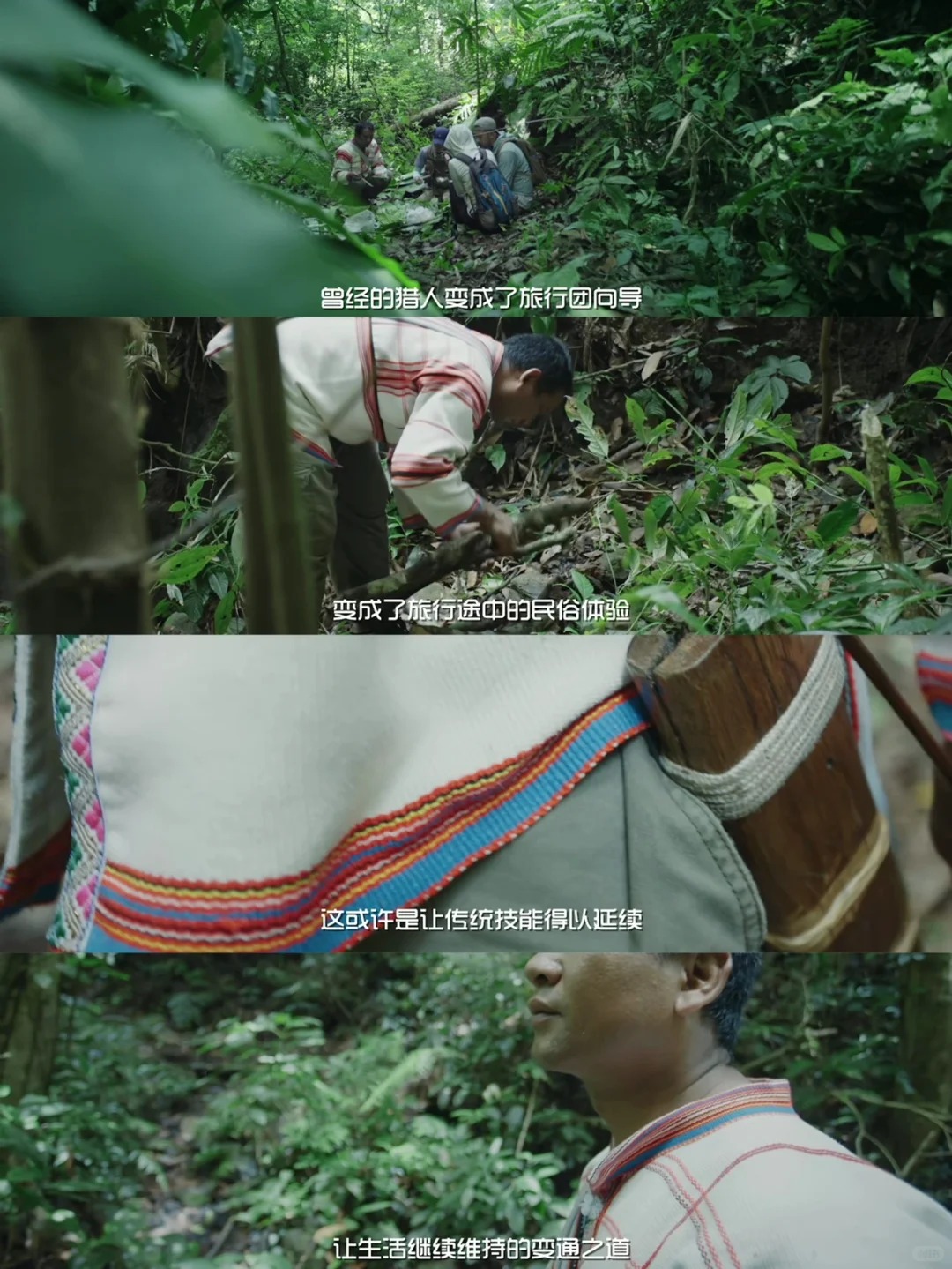 纪录片《雨林之子》云的彼端，国之南境。_5_闪闪发光赵美好_西双版纳-森林-来自52tours 我爱旅游网